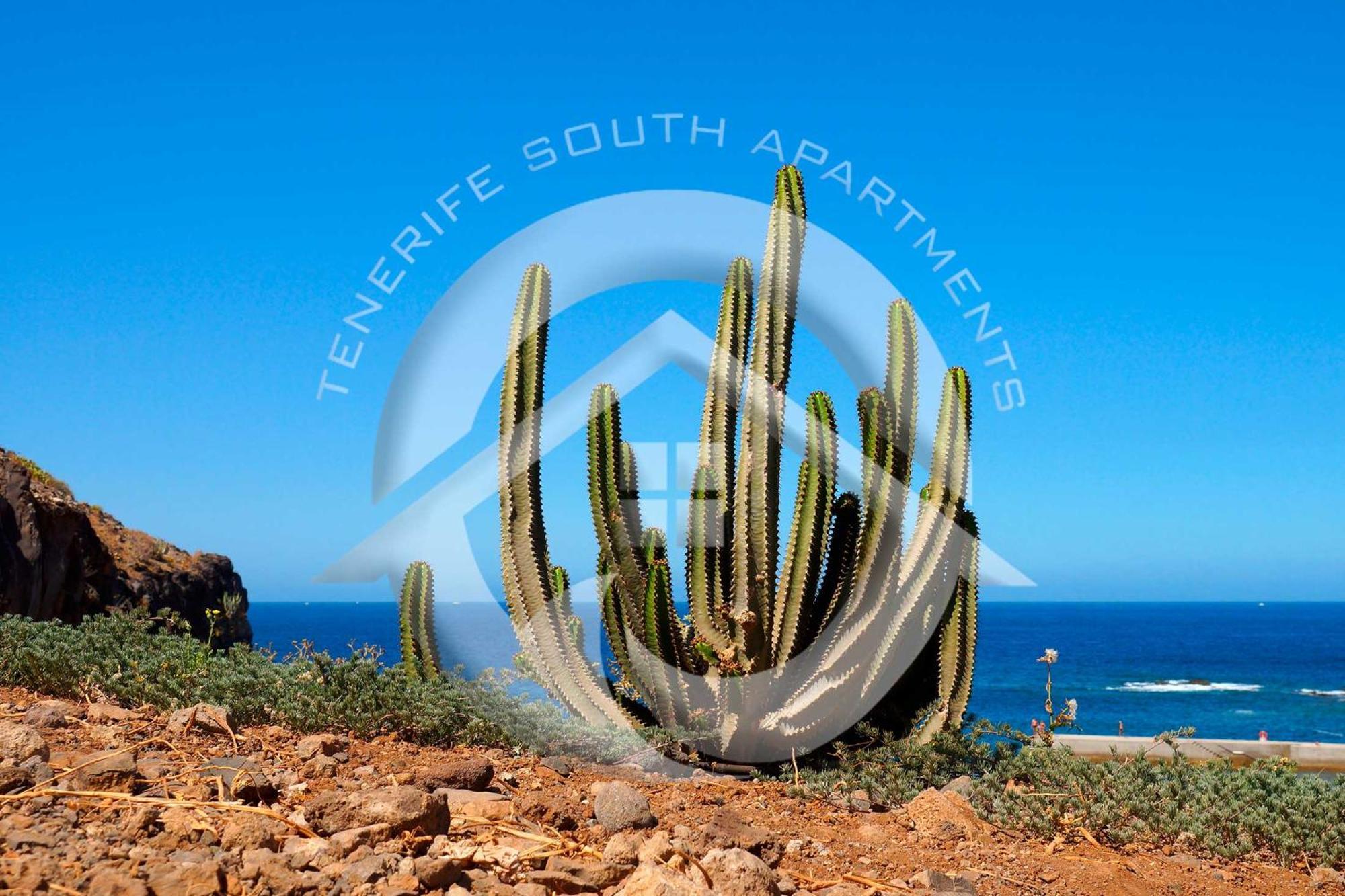 Las Vistas Beach Arona (Tenerife) Exterior foto